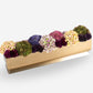 Chantilly Sedum Gold Trough
