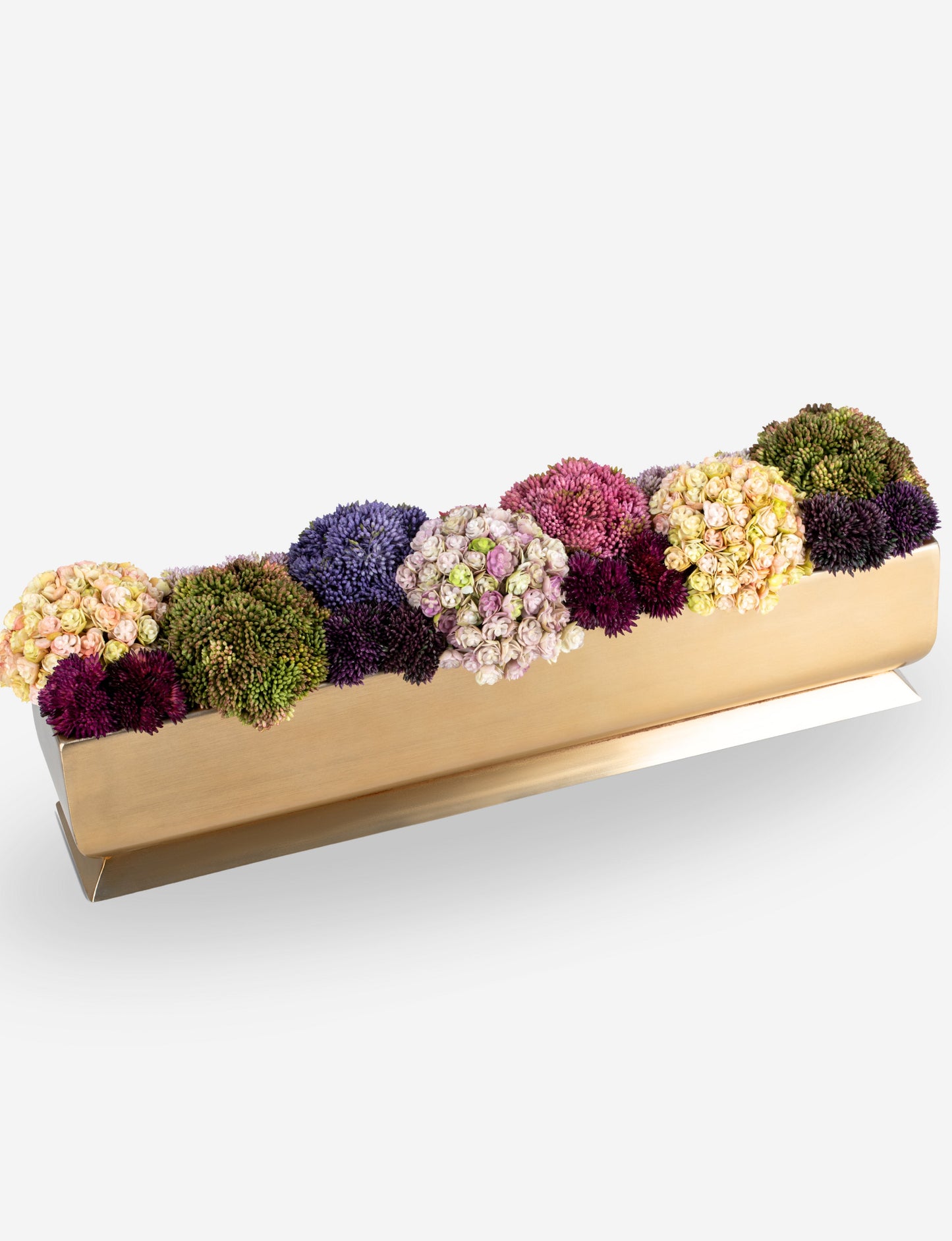 Chantilly Sedum Gold Trough