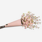 Cielo Cherry Blossom Bundle