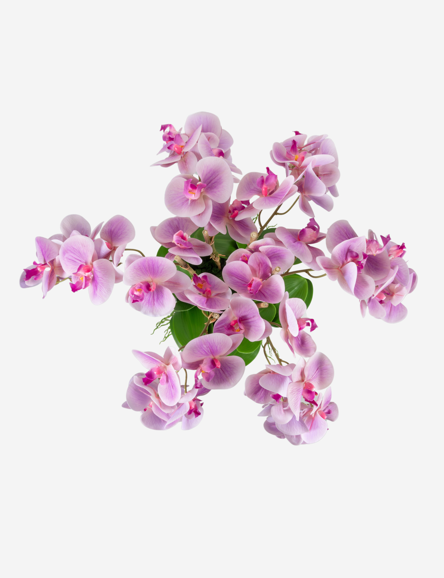 Abigail Gold RealTouch Orchid