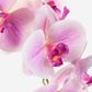 Abigail Gold RealTouch Orchid