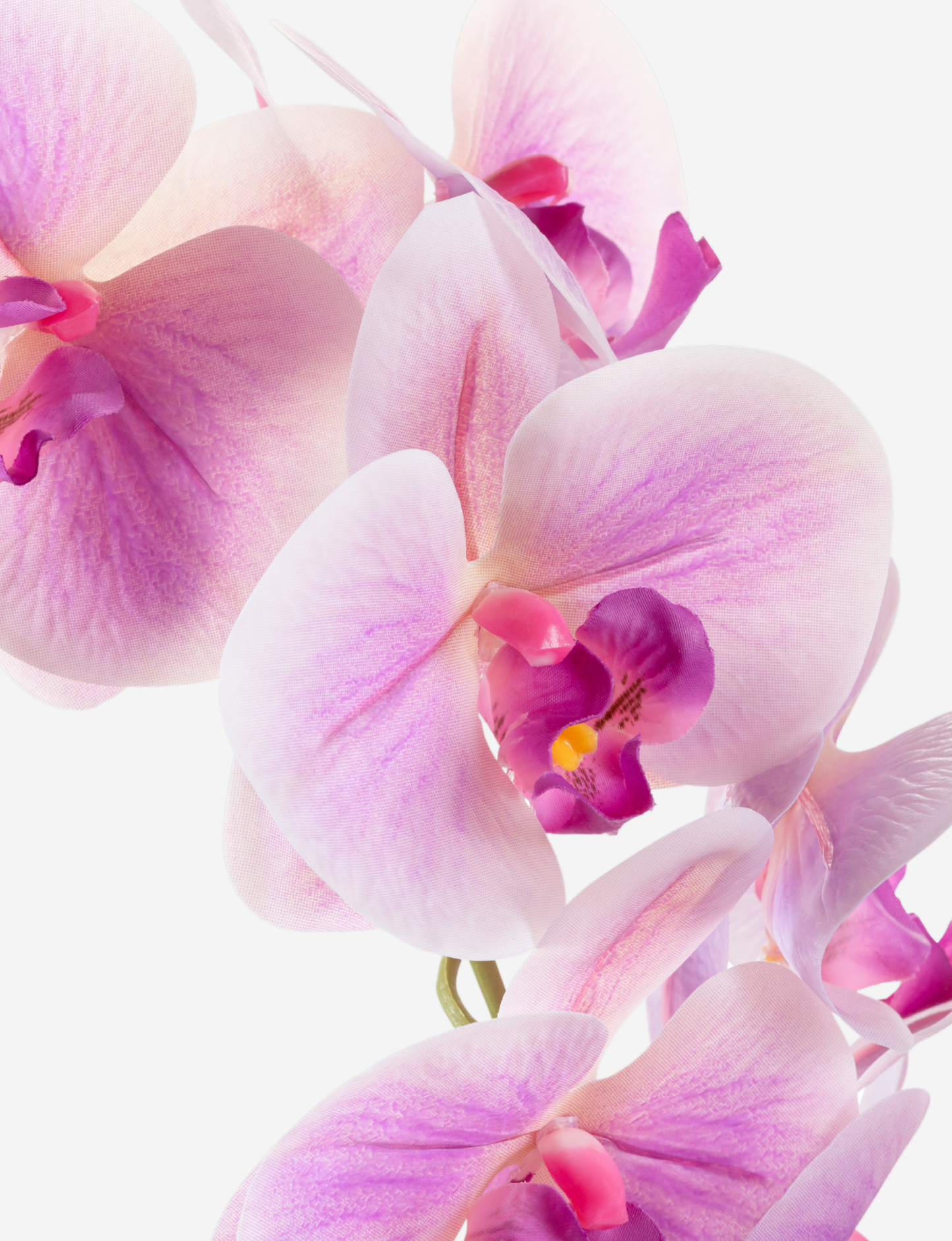 Abigail Gold RealTouch Orchid