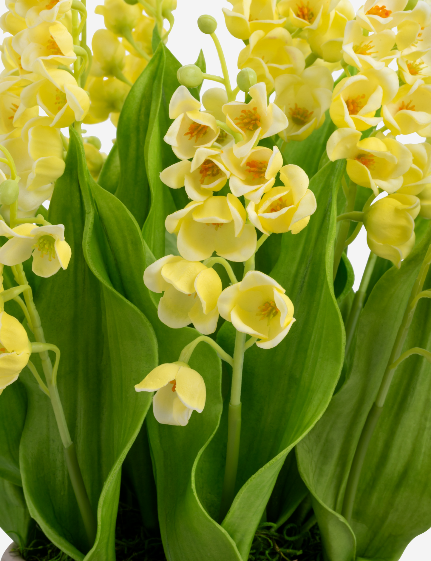 Cora RealTouch Muguet Arrangement