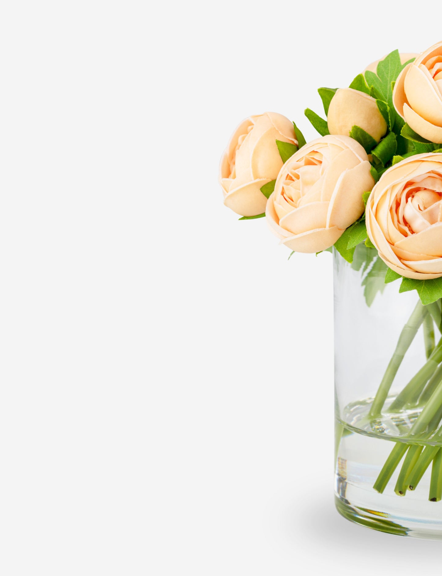 Cortona RealTouch Ranunculus