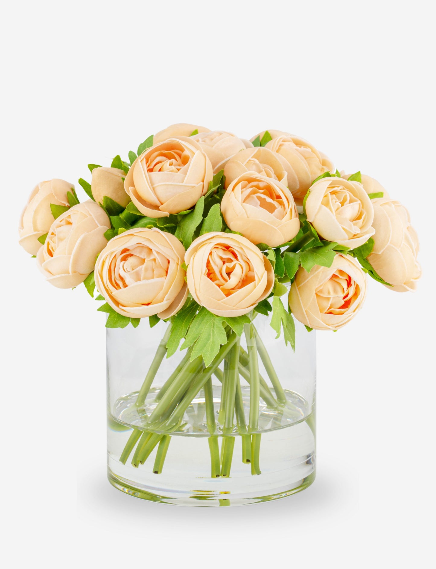 Cortona RealTouch Ranunculus