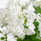 Cosima RealTouch Snowball Hydrangea Arrangement