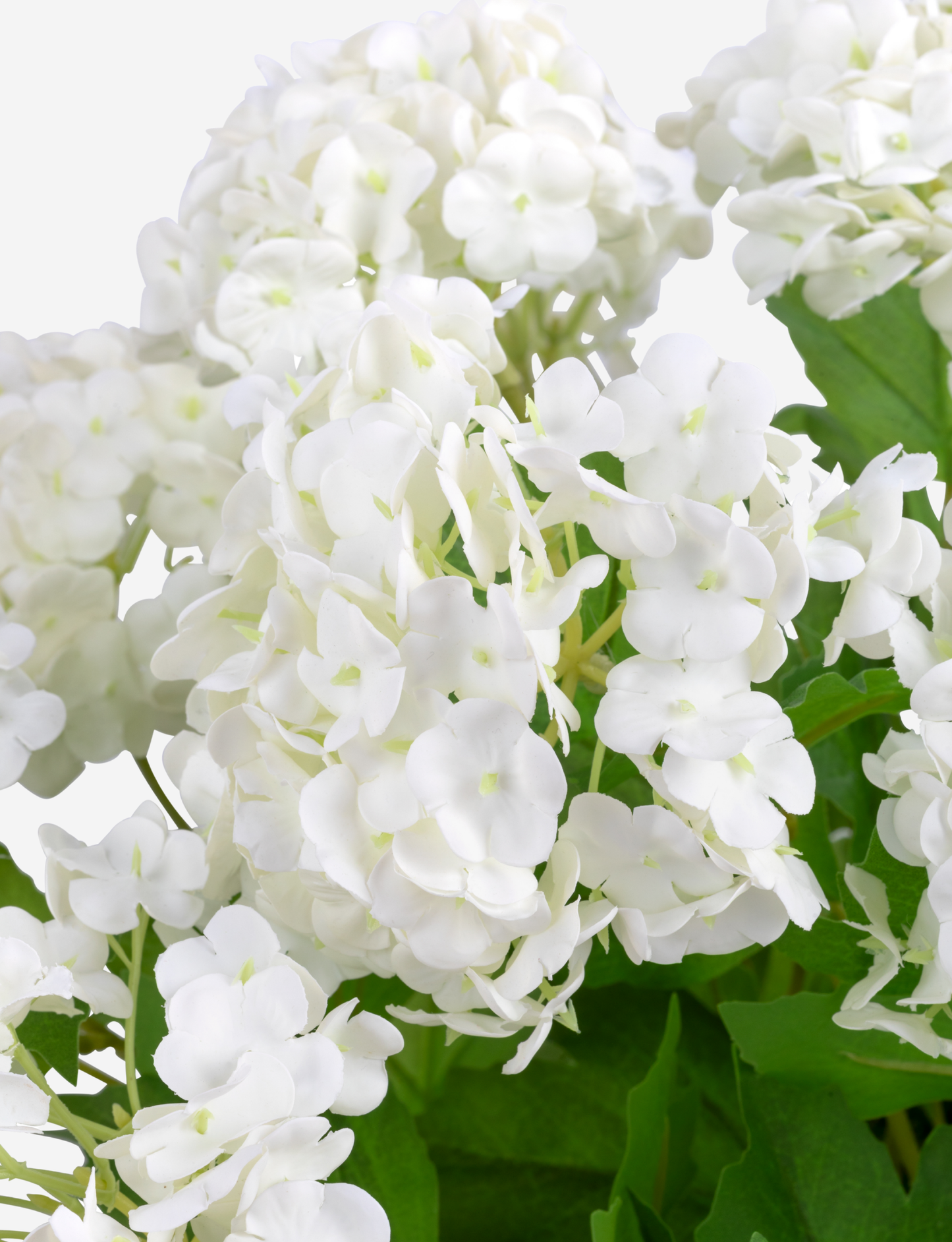 Cosima RealTouch Snowball Hydrangea Arrangement