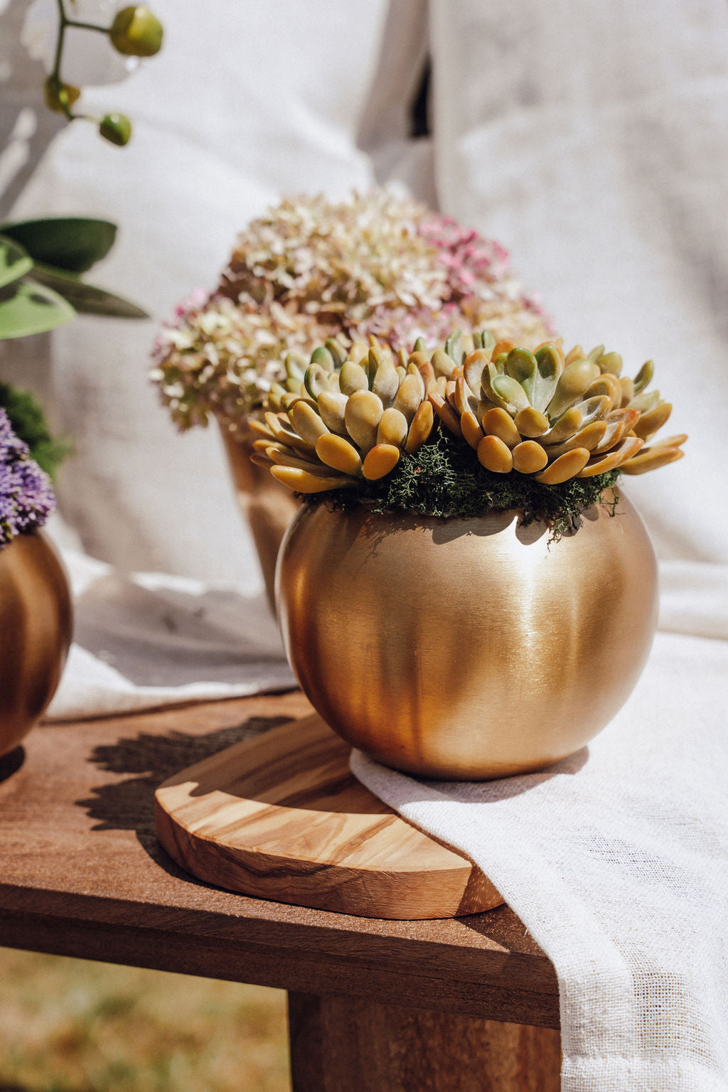 gold potted succulent Beatrice Gold Succulent Arrangement