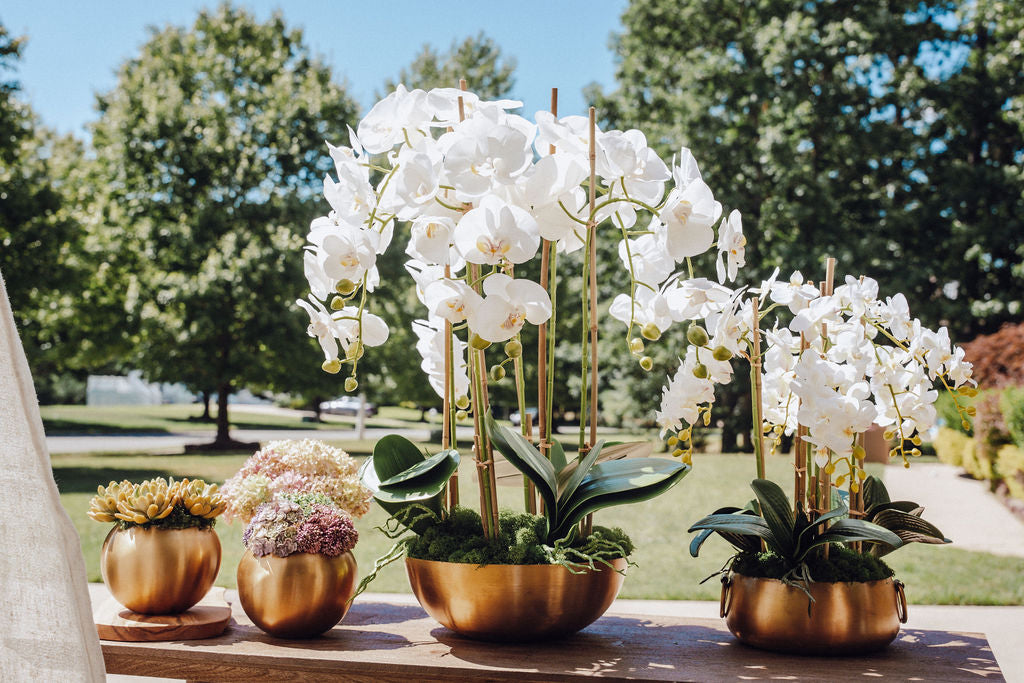 Beatrice Gold Succulent Arrangement