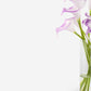 Dietrich RealTouch Calla Lily Arrangement
