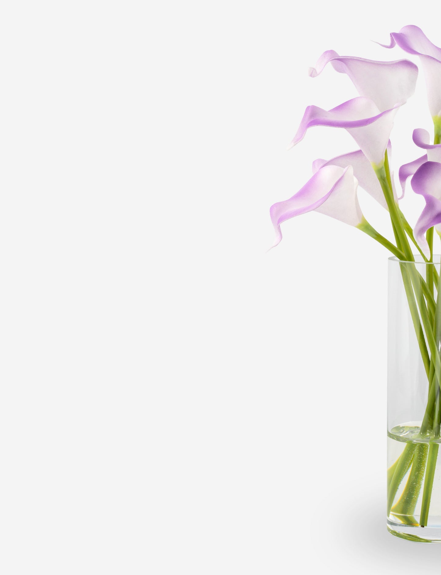 Dietrich RealTouch Calla Lily Arrangement