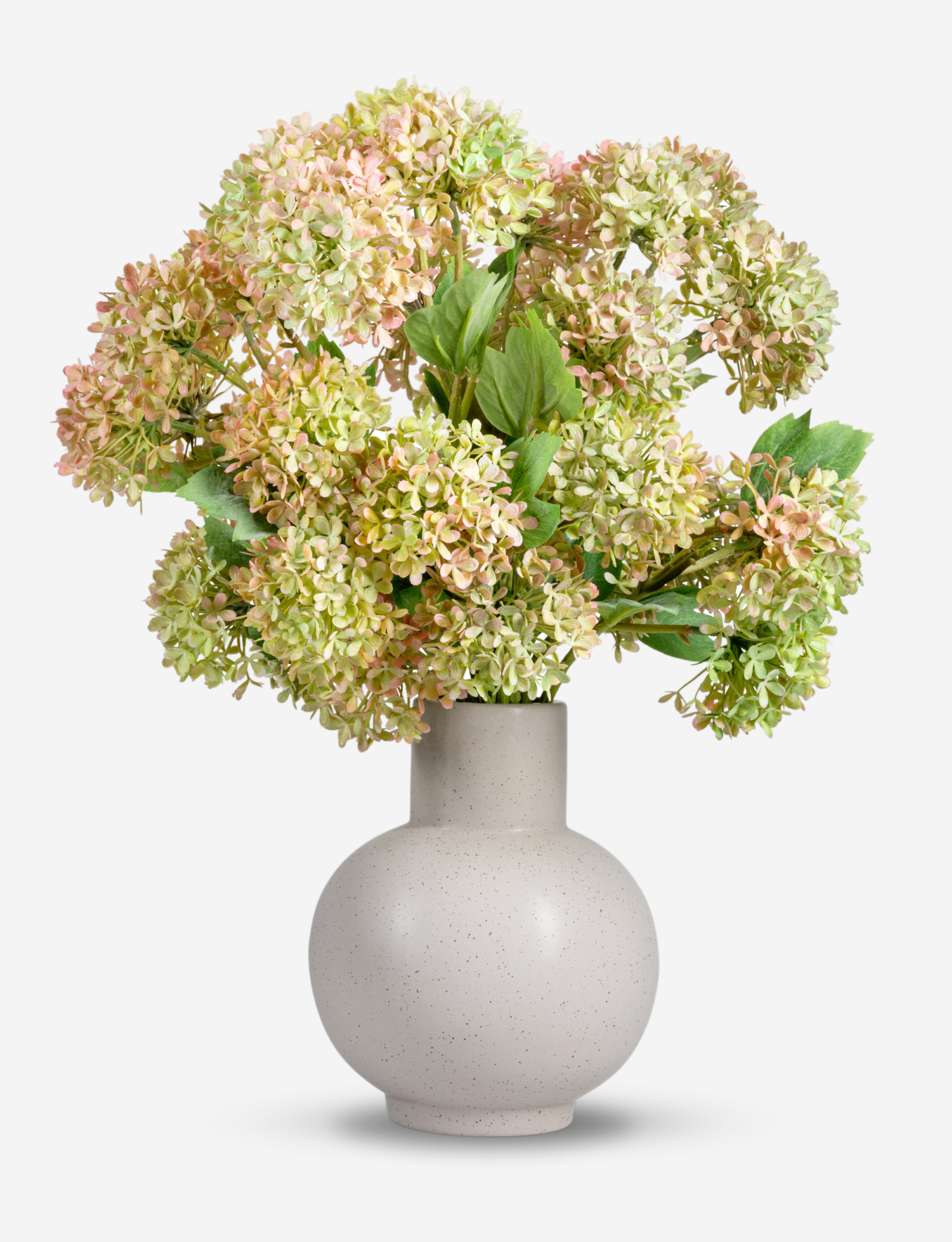 Donte Snowball Hydrangea Arrangement