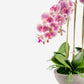 Eleanora RealTouch Orchid Centerpiece