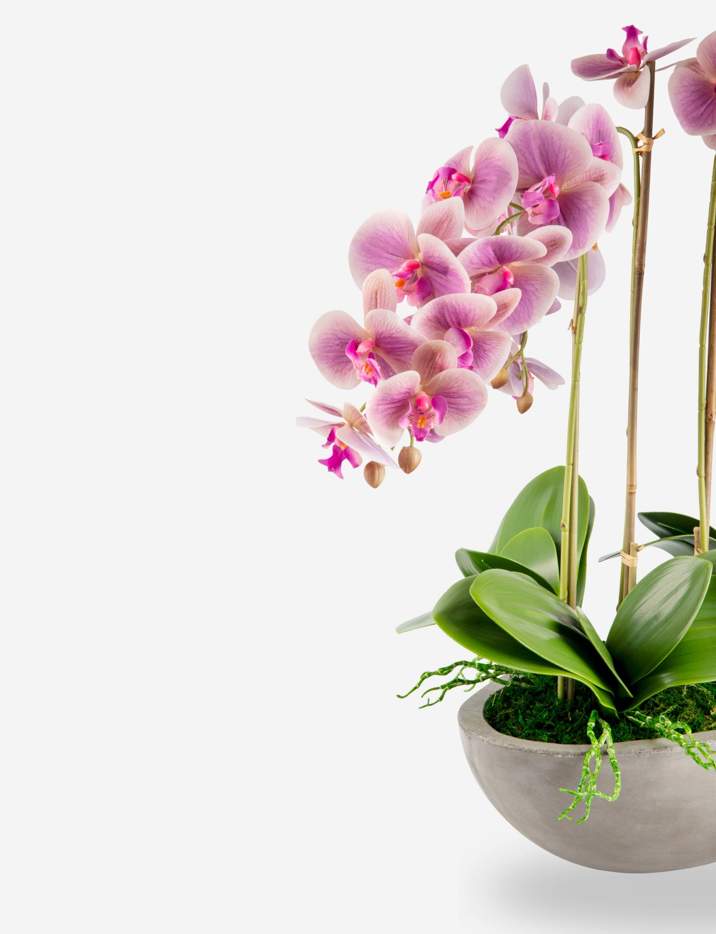 Eleanora RealTouch Orchid Centerpiece