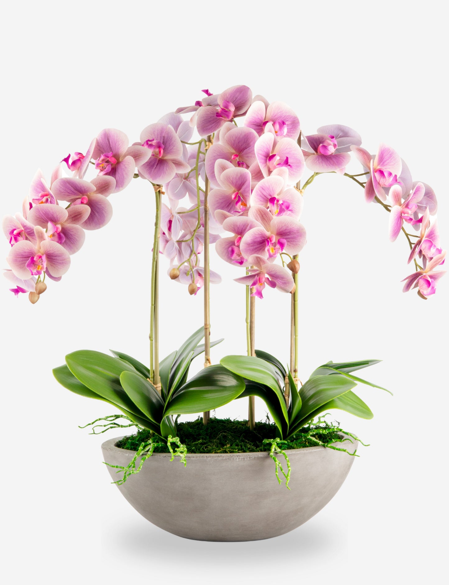Eleanora RealTouch Orchid Centerpiece