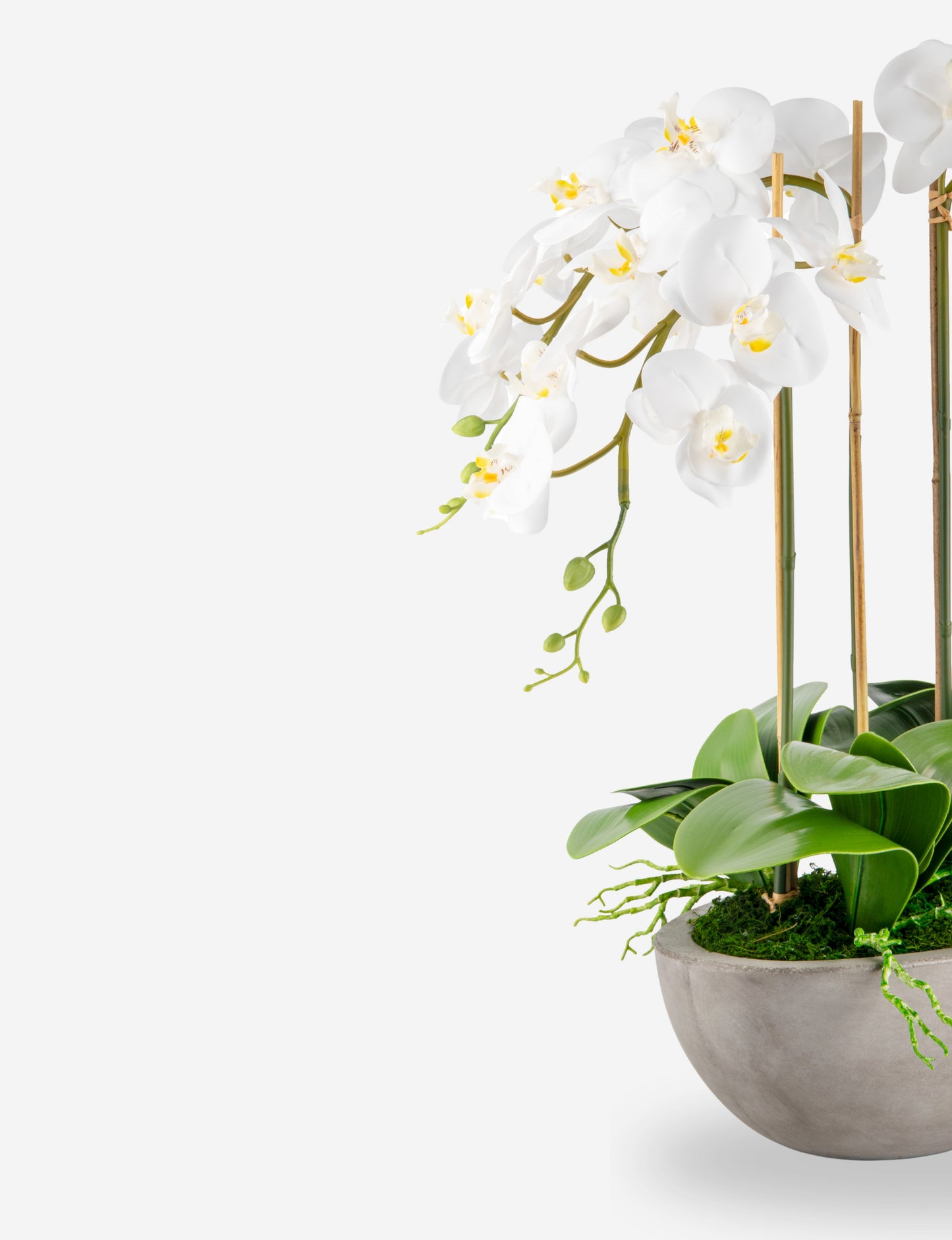 Eleanora RealTouch Orchid Centerpiece