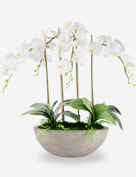 Eleanora RealTouch Orchid Centerpiece