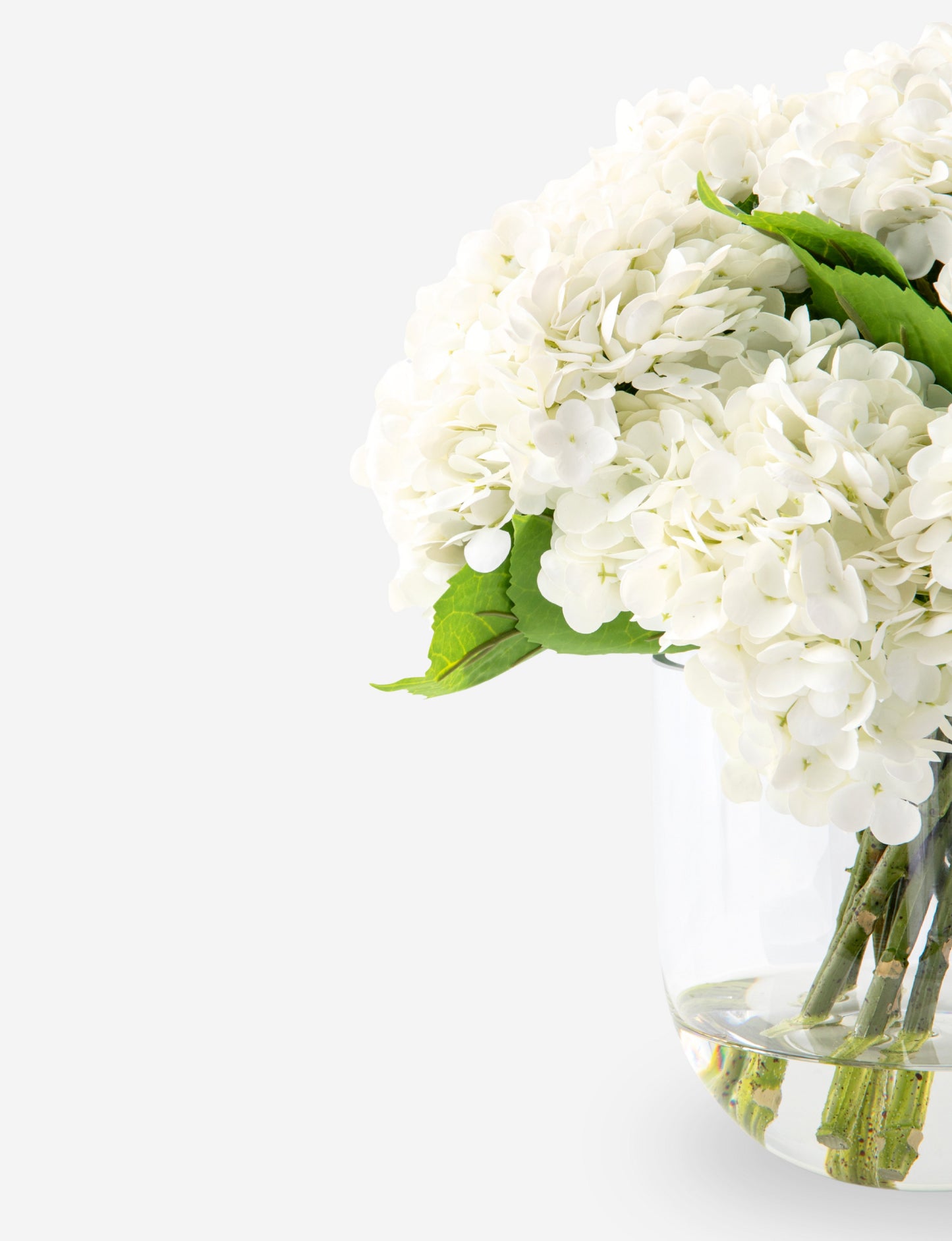 Elisette RealTouch Hydrangea Arrangement