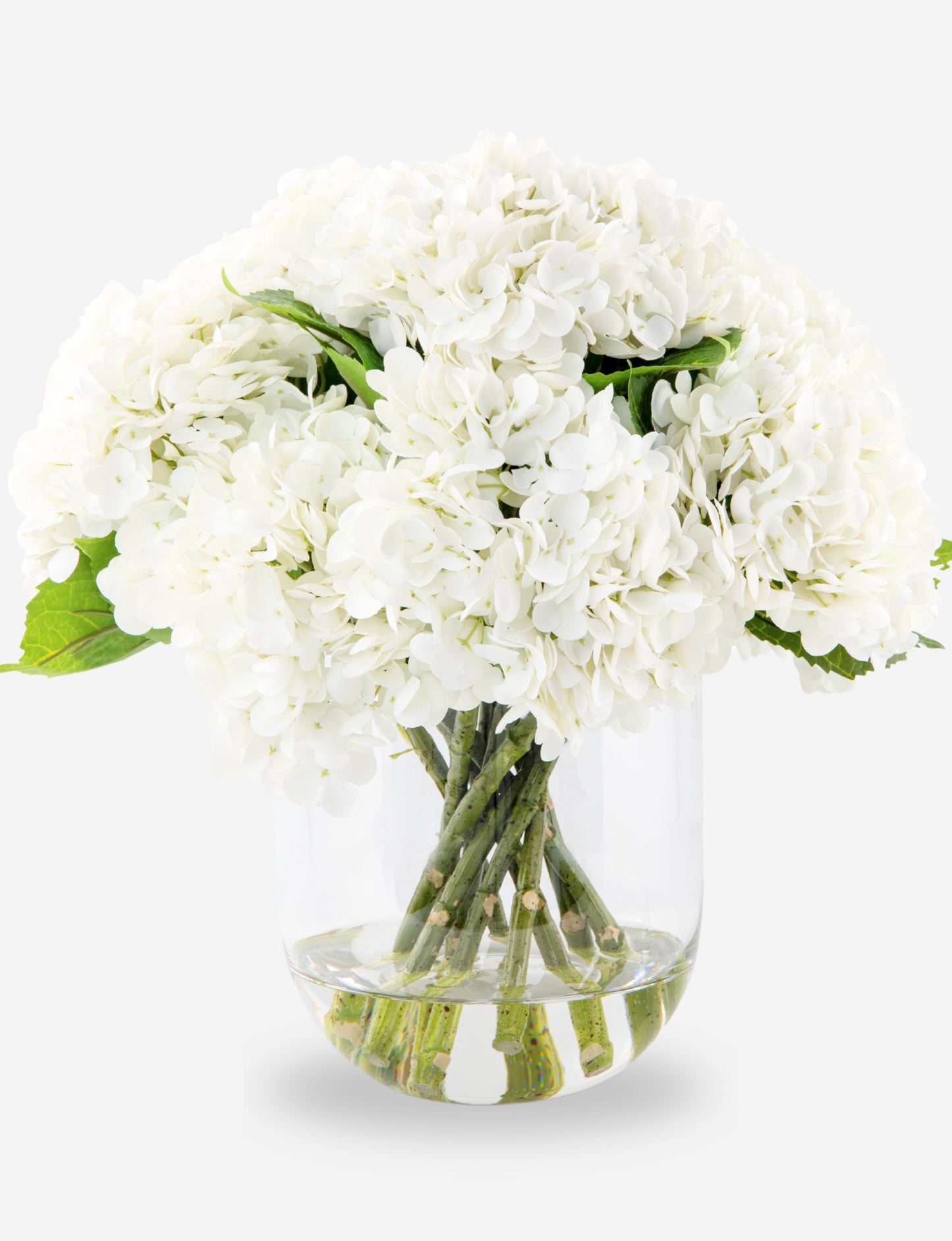 Elisette RealTouch Hydrangea Arrangement