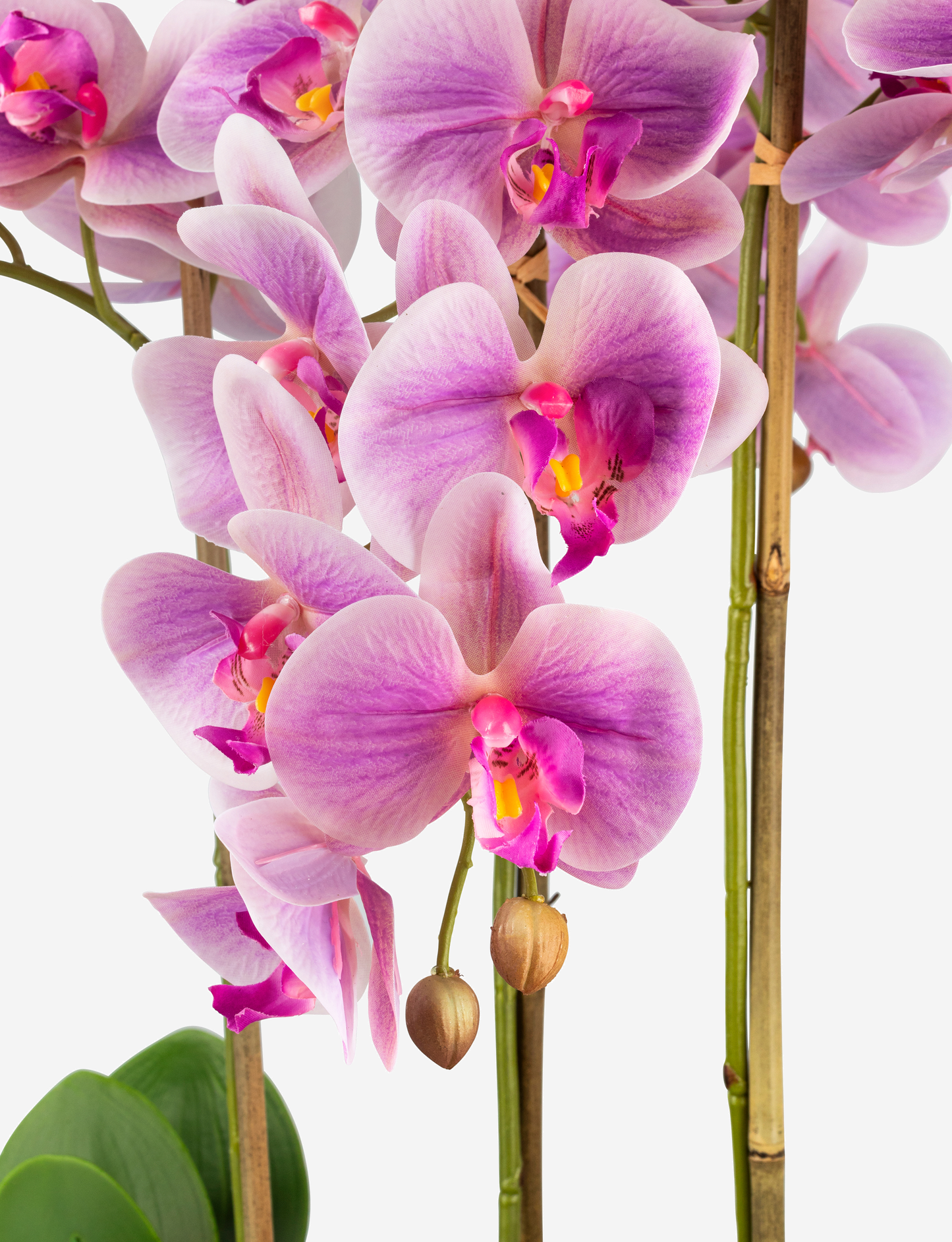 Elsa RealTouch Orchid Planter