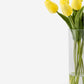 Emeline RealTouch Tulip Arrangement