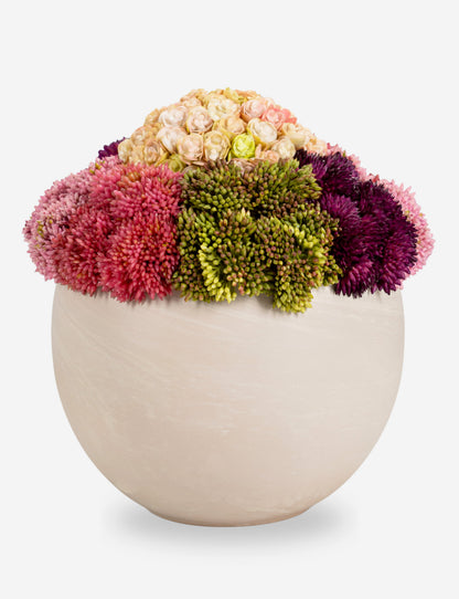 Evren Sedum Arrangement