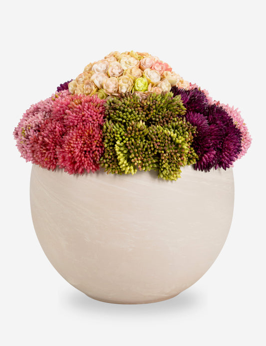 Evren Sedum Arrangement