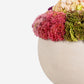Evren Sedum Arrangement