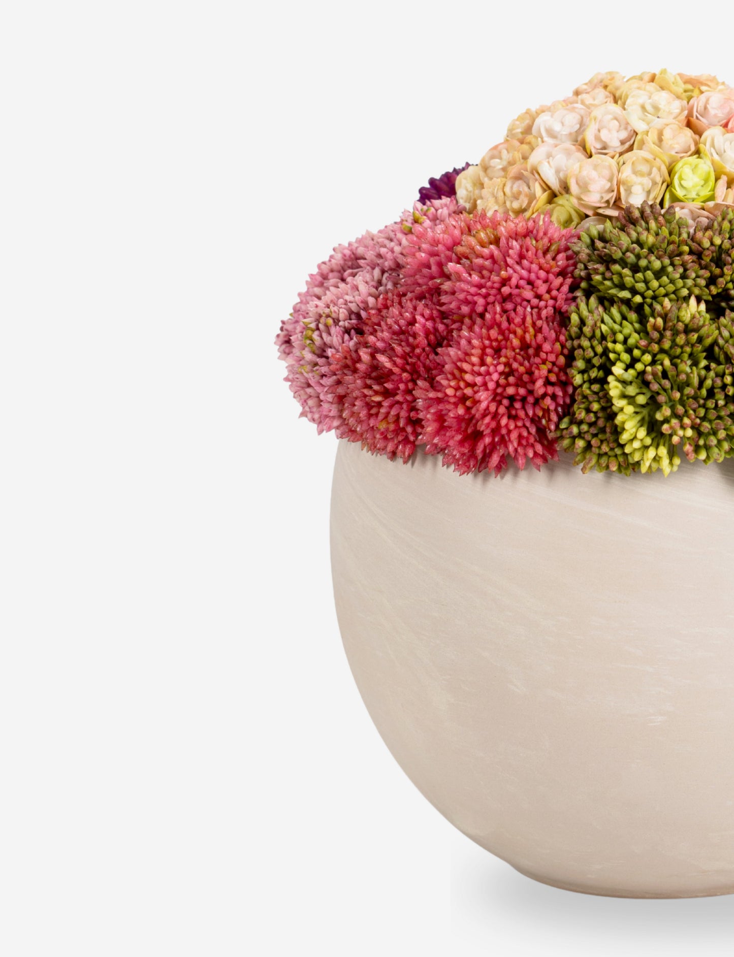 Evren Sedum Arrangement