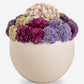 Evren Sedum Arrangement