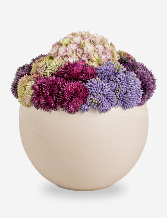 Evren Sedum Arrangement