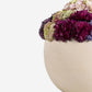 Evren Sedum Arrangement