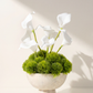 Plato RealTouch Calla Lilly Arrangement