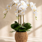 Manorca RealTouch Orchid Arrangement
