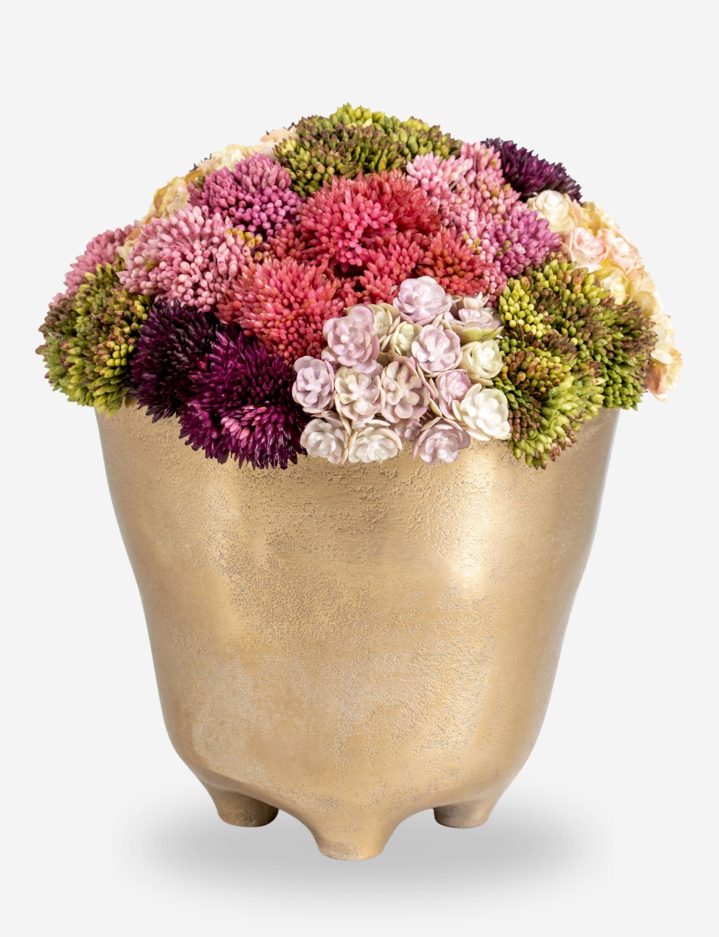 Florence Sedum Arrangement