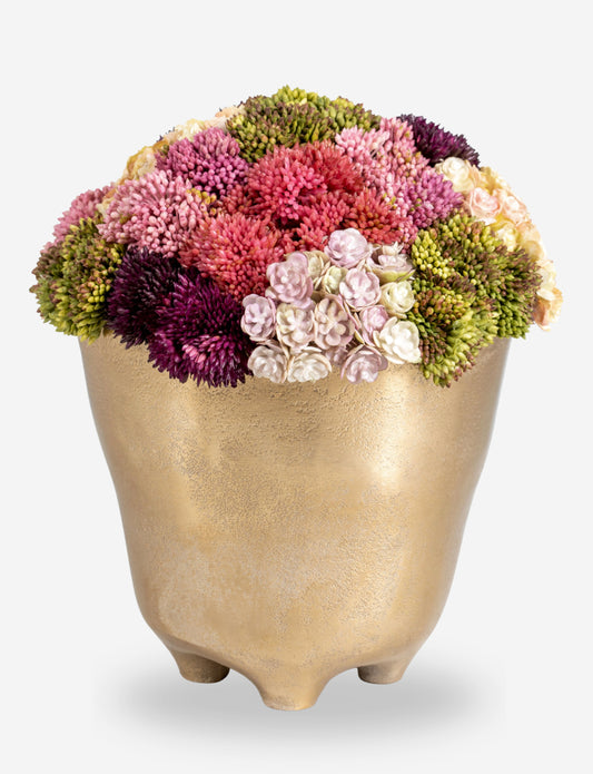 Florence Sedum Arrangement