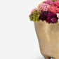 Florence Sedum Arrangement