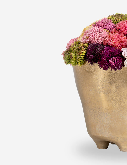 Florence Sedum Arrangement
