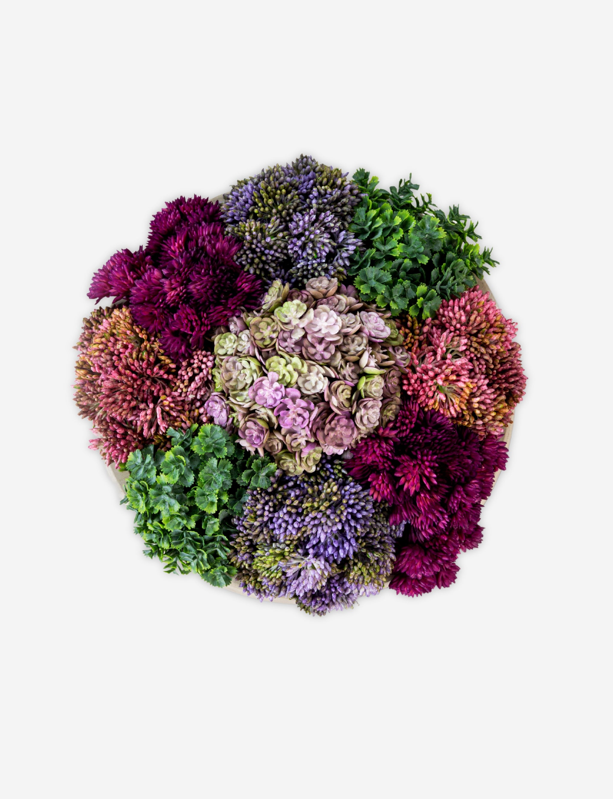 georgina-sedum-arrangement-cocobella