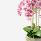Henrietta RealTouch Orchid Arrangement