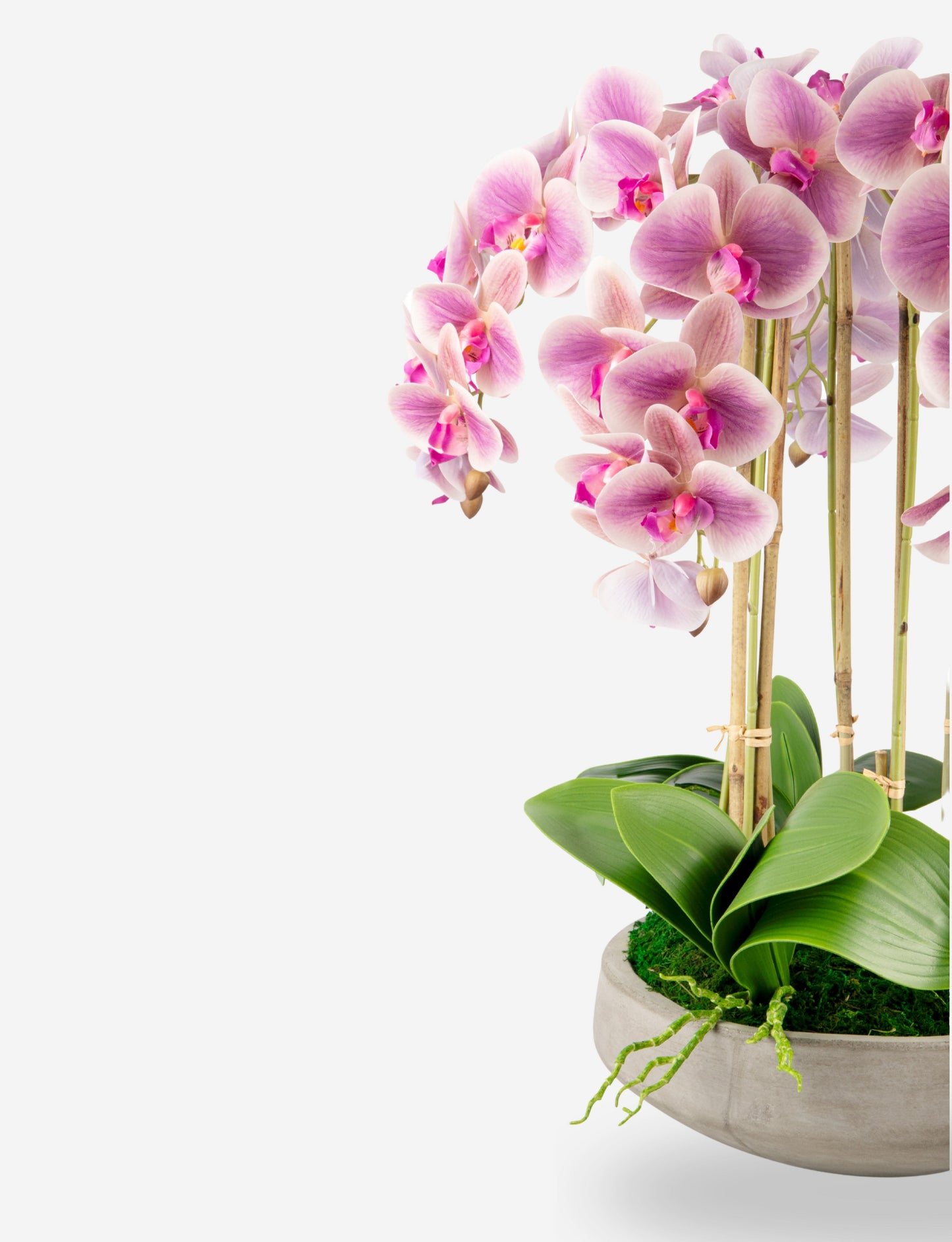 Henrietta RealTouch Orchid Arrangement