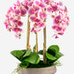 Henrietta RealTouch Orchid Arrangement