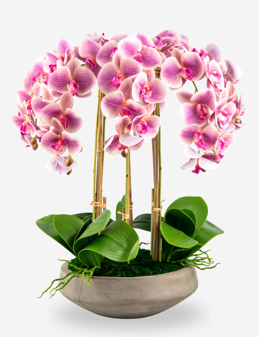 Henrietta RealTouch Orchid Arrangement