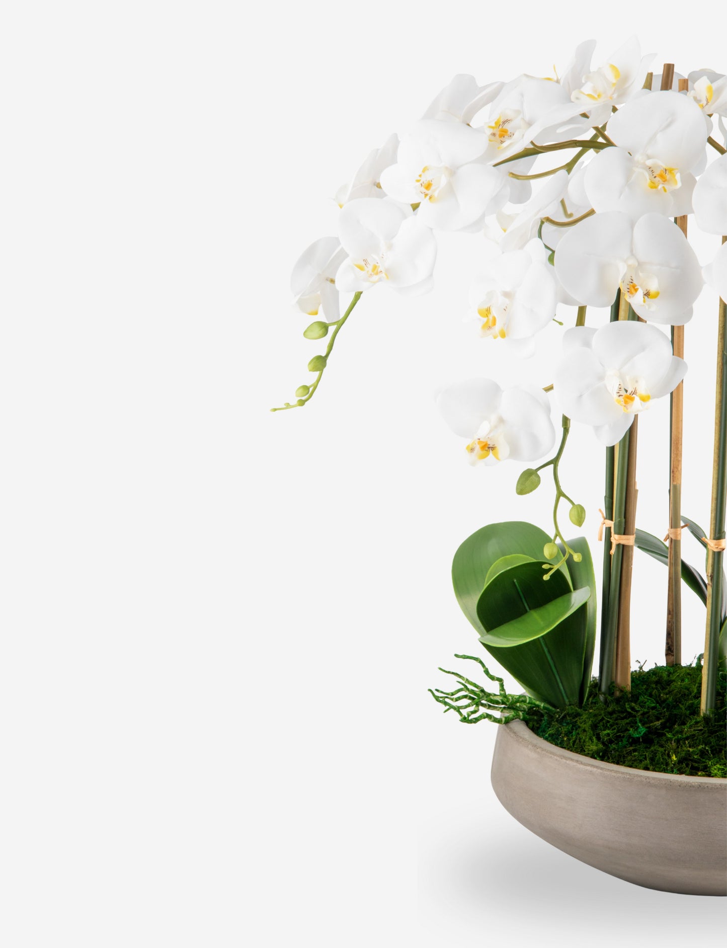 Henrietta RealTouch Orchid Arrangement