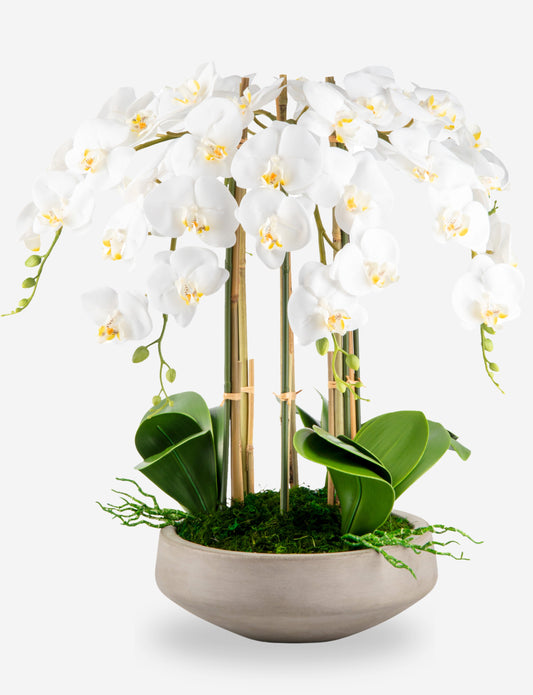 Henrietta RealTouch Orchid Arrangement