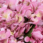 Ian RealTouch Hydrangea Arrangement