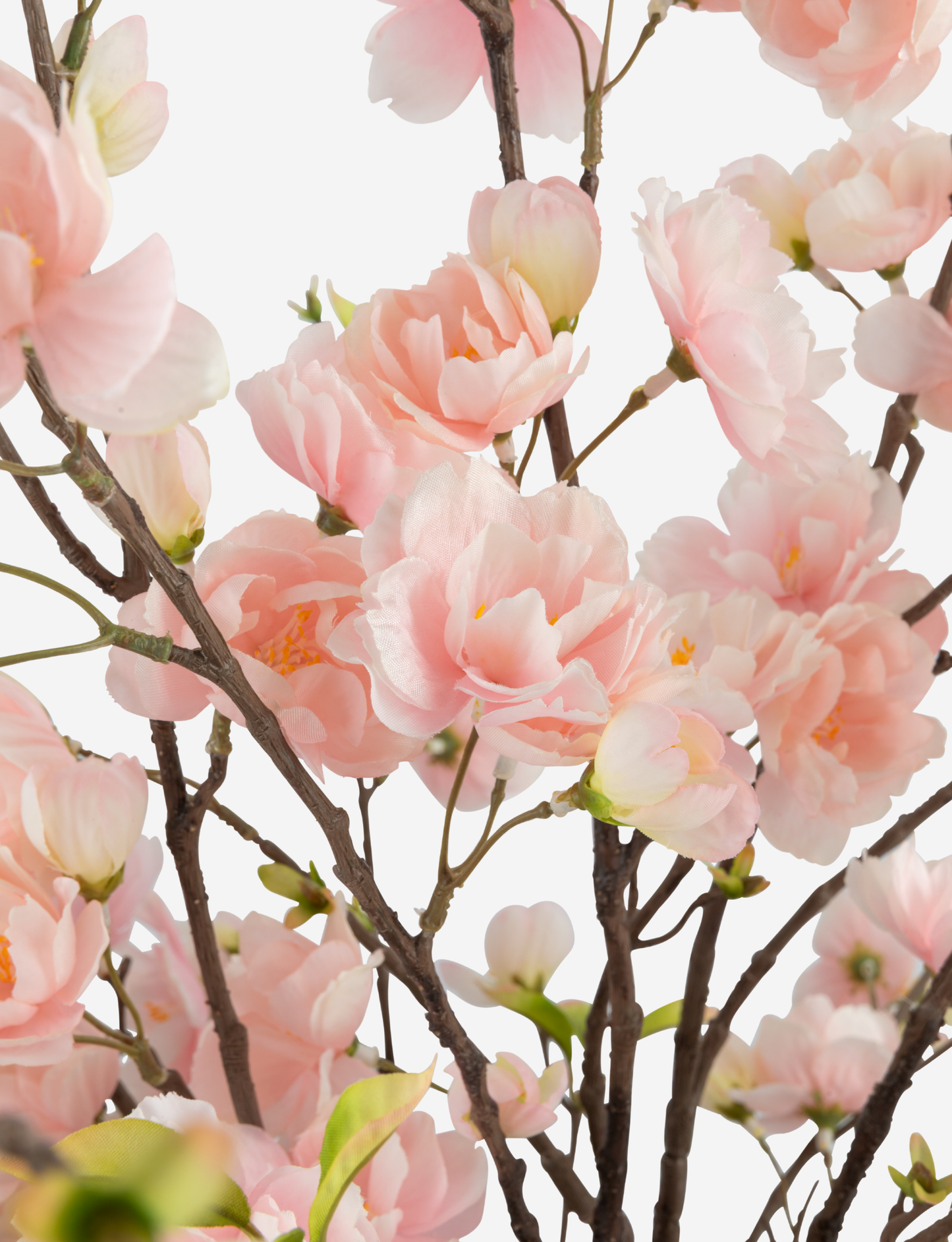 Isadora Cherry Blossom Arrangement