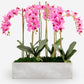 Isolde RealTouch Orchid Arrangement