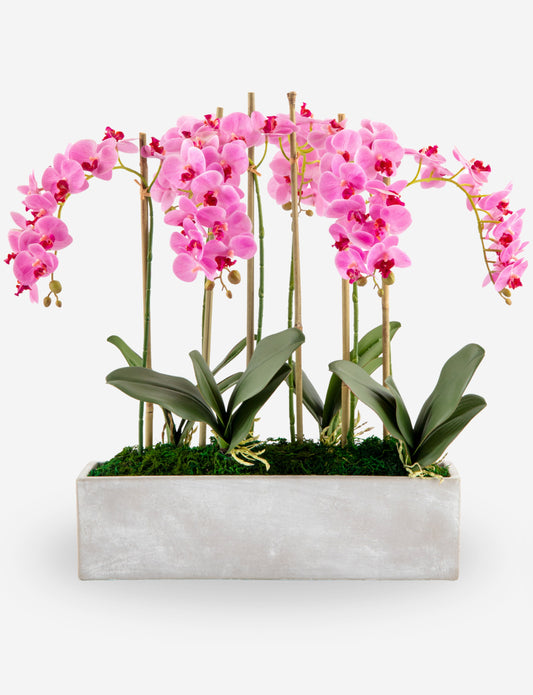 Isolde RealTouch Orchid Arrangement