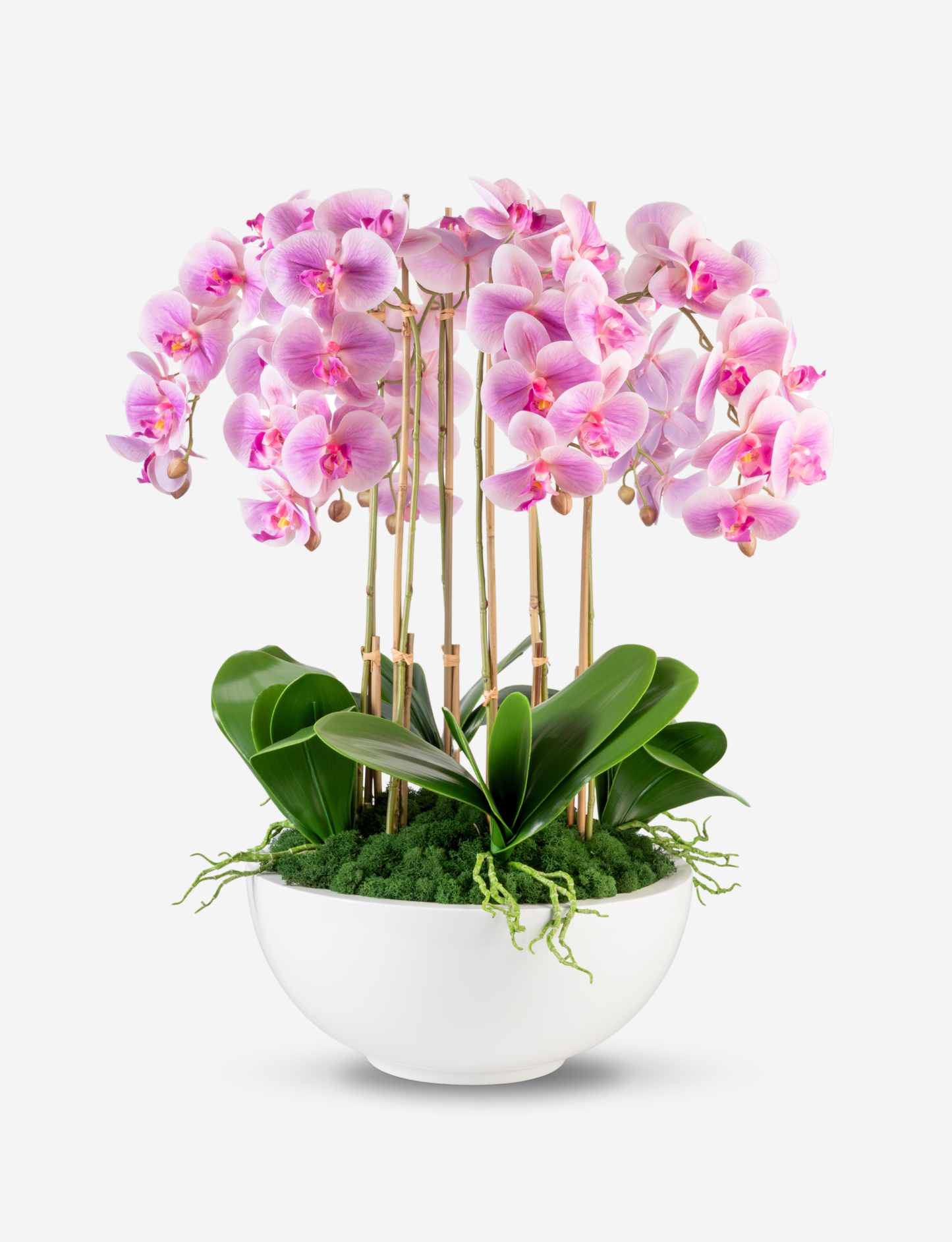 Jetta Oversized RealTouch Orchid Arrangement